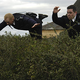 Image for article titled Nick Frost, Simon Pegg, and Edgar Wright of Hot Fuzz